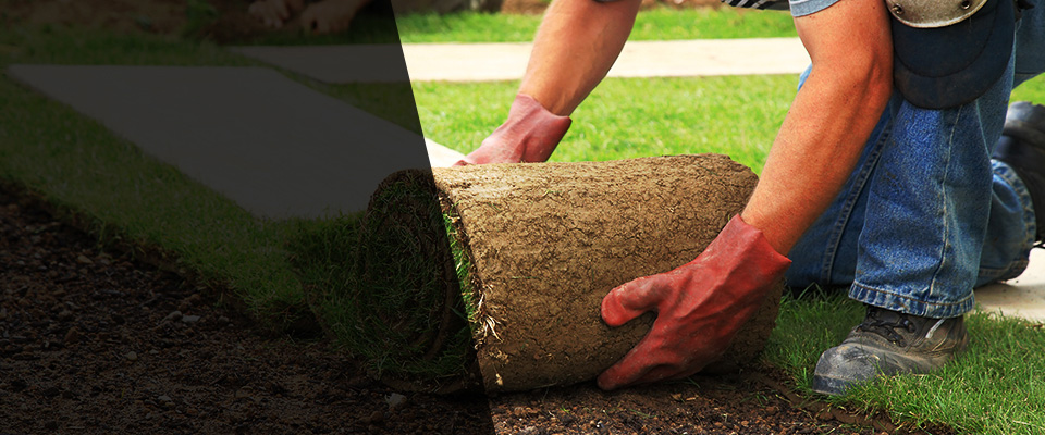 Maineville Landscapers