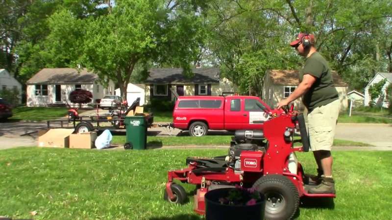 Bamboo Removal